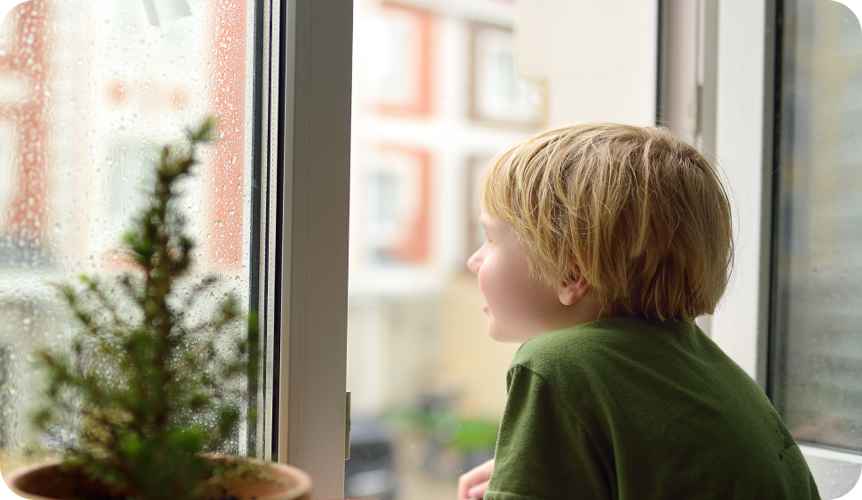 High-Quality Window Replacement