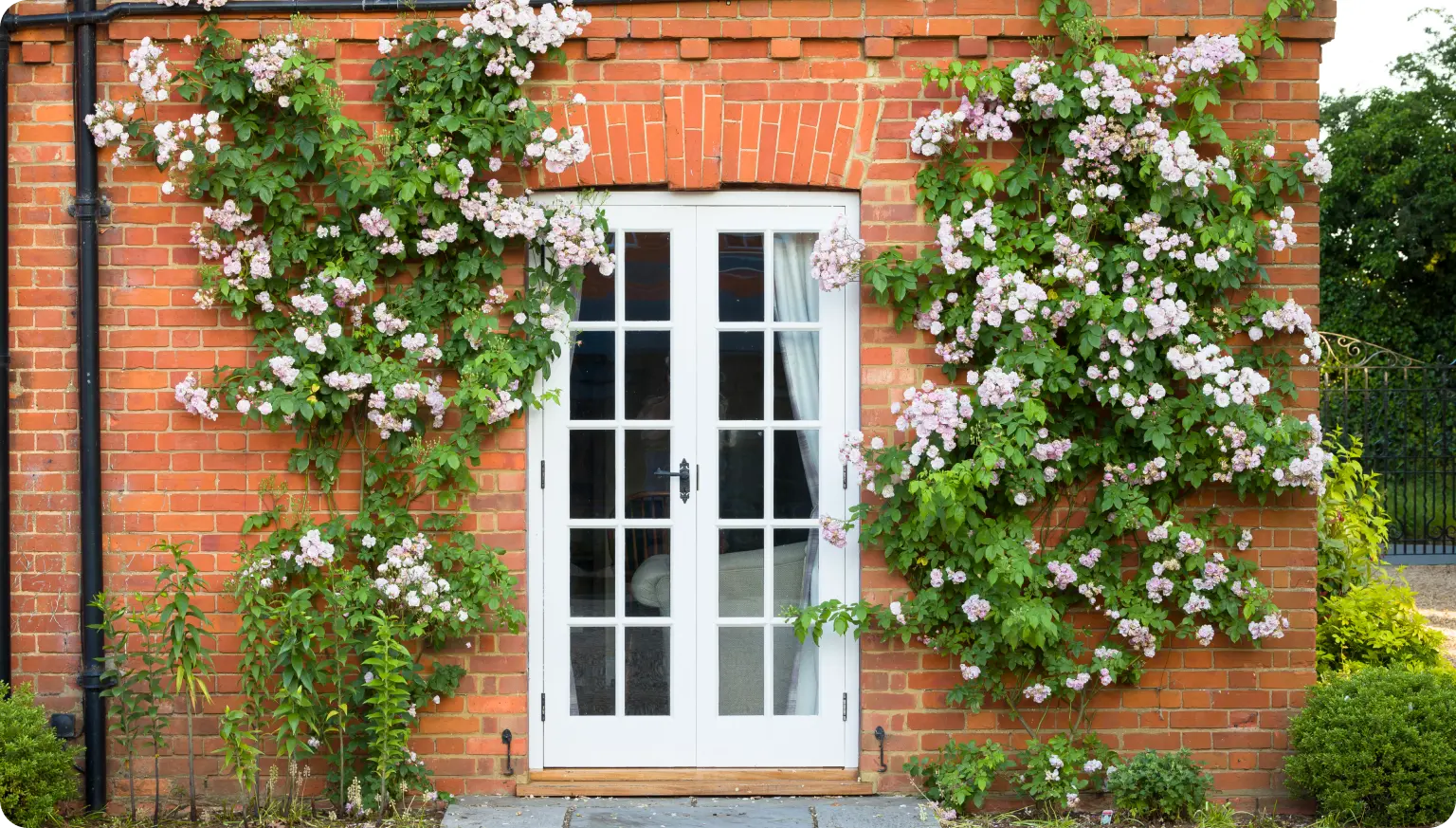 French Doors